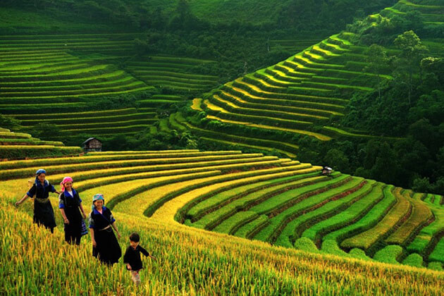 Muong Hoa Valley -Indochina tour packages