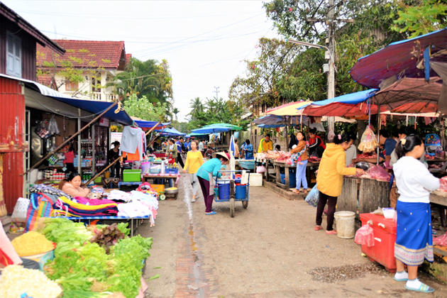 morning market luang prabang indochina tours