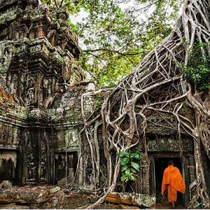 Ta Prohm - Indochina tour packages