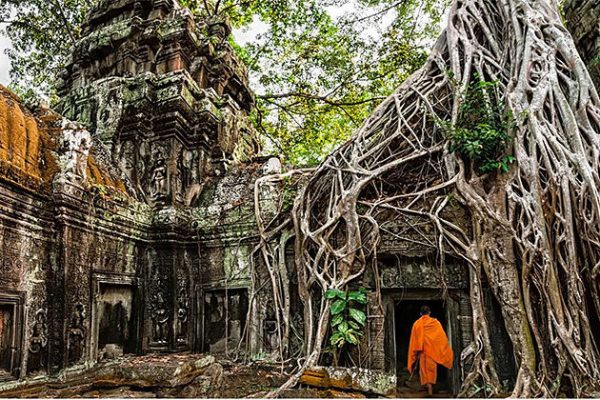 Ta Prohm - Indochina tour packages