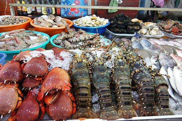 fish market - Indochina Tour Packages