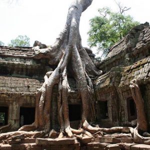Spirit of Vietnam and Cambodia Tour - Ta Phrom - Indochina Tour Packages