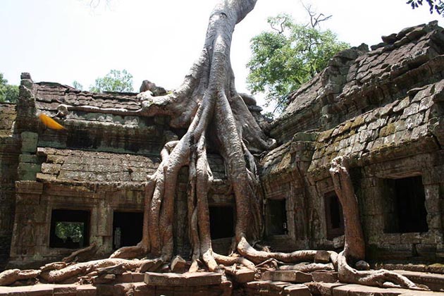 Spirit of Vietnam and Cambodia Tour - Ta Phrom - Indochina Tour Packages