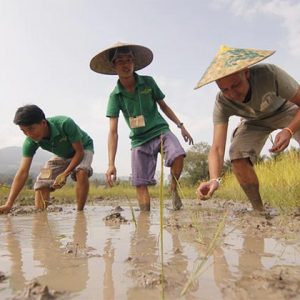 gain authentic experience in living farm land in laos