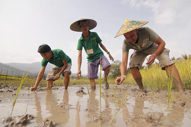 gain authentic experience in living farm land in laos