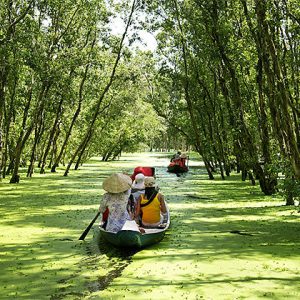 Boat Trip on Tra Su Cajuput Forest