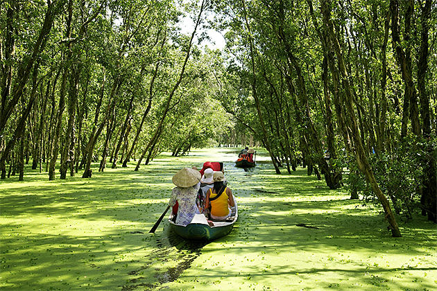 Boat Trip on Tra Su Cajuput Forest