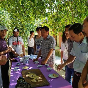 Tea Break in Thuy Bieu Eco Tour – Indochina Trips