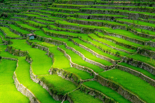 Ifugao Rice Terraces phillippines southeast asia holiday packages