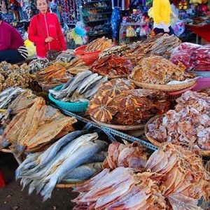Nha Trang Dam Market Vietnam Laos Tour