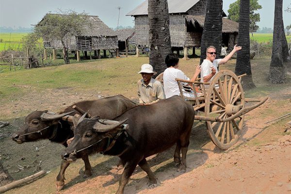 Ox-cart ride through a village surround tonle sap lake
