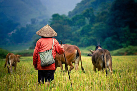 Top 10 Ecotourism Experiences in Cambodia Indochina Tours