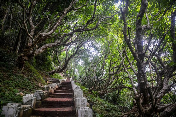 climb mount phousi laos