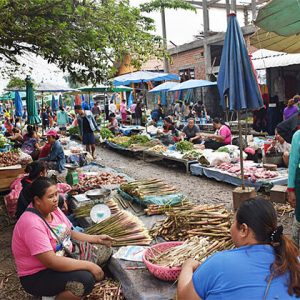 Local Market in Vang Vieng