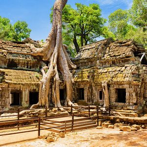 Ta Prohm Temple