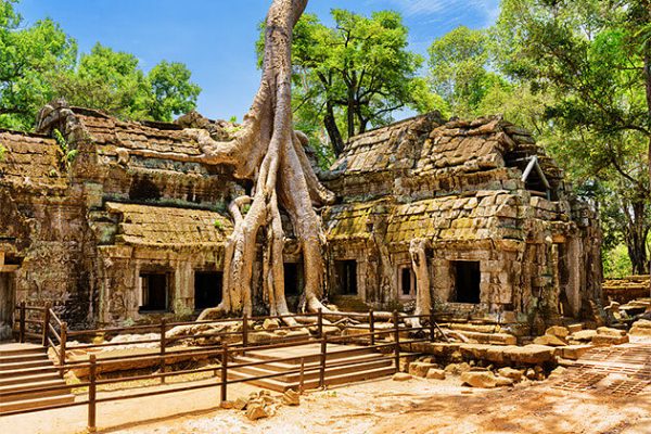 Ta Prohm Temple