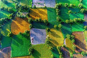 Ultimate Guide to Mekong Delta The Rice Bowl of Vietnam