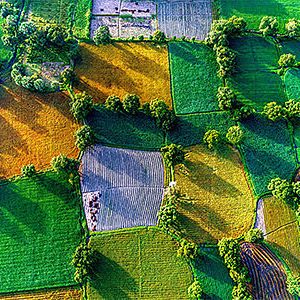 Ultimate Guide to Mekong Delta The Rice Bowl of Vietnam