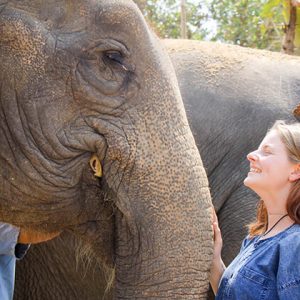 Half Day with Elephant in Chiang Mai