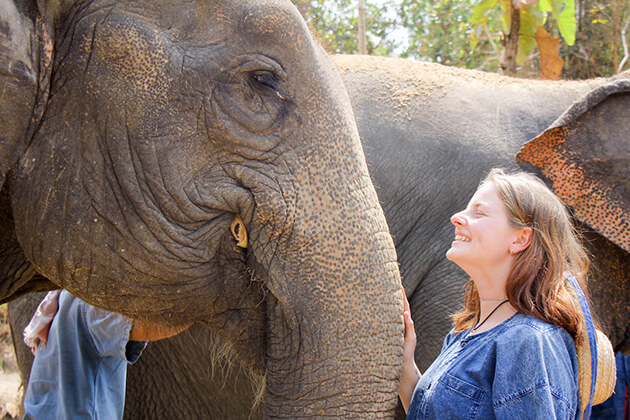 Half Day with Elephant in Chiang Mai