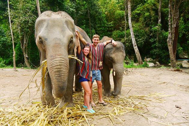 places to visit elephants in thailand