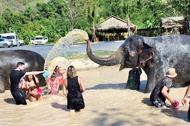 discover Phuket Elephant Sanctuary in Thailand