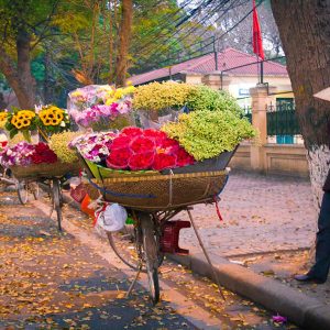 Ha Noi