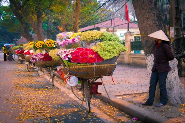 Ha Noi