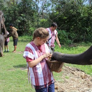 Half Day with Lovely Elephant