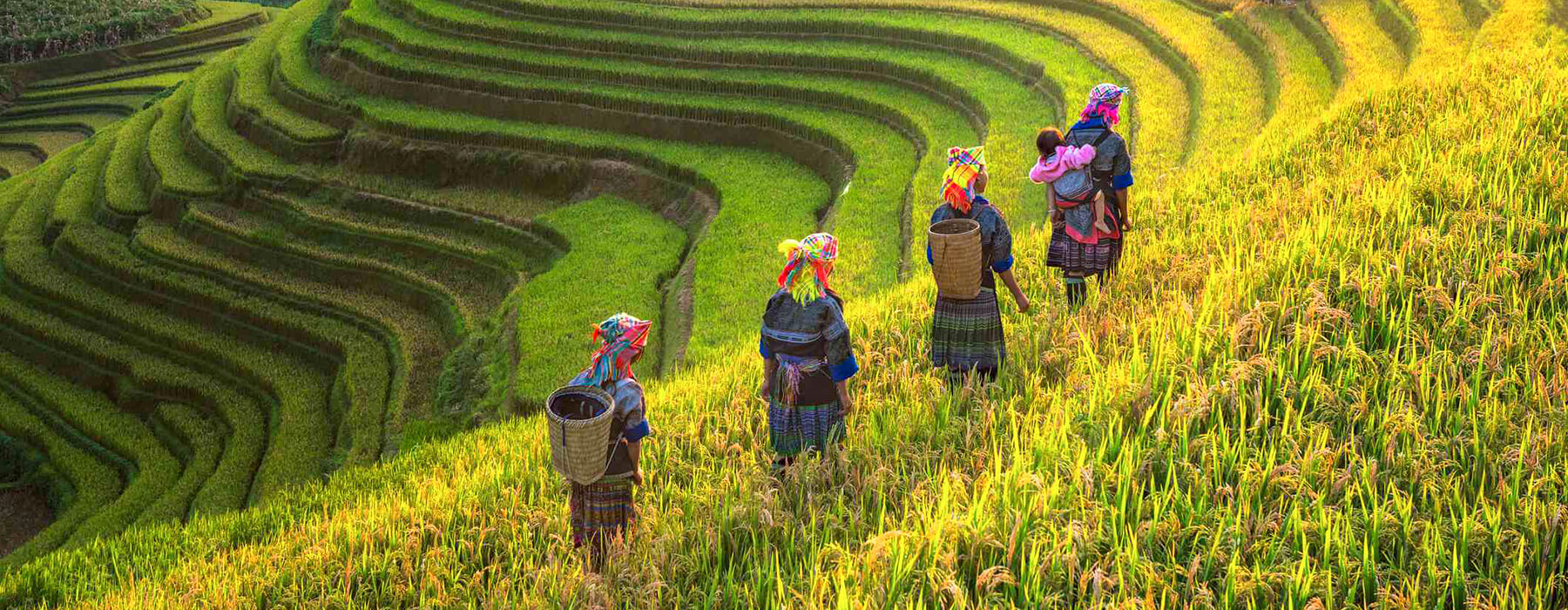 Indochina tour packages