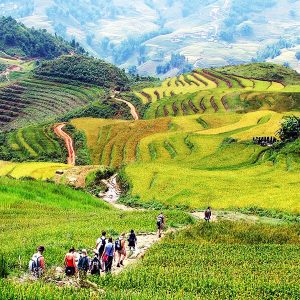 Sapa Trekking Tour, Indochina Tours