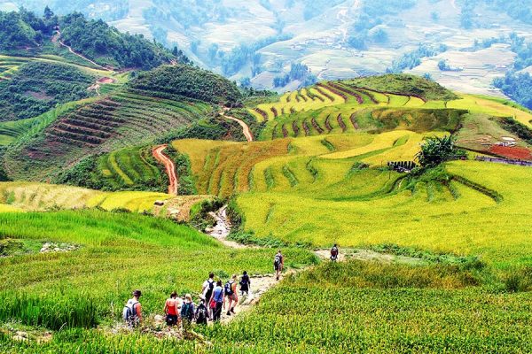 Sapa Trekking Tour, Indochina Tours