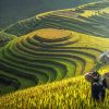 Vietnam & Cambodia Grand Tour – 27 Days