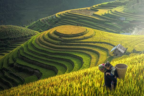 Vietnam & Cambodia Grand Tour – 27 Days