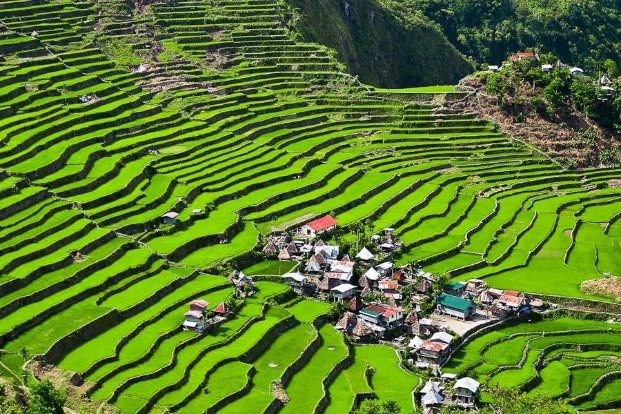 Ifugao Rice Terraces, Philippines - Multi Country Asia Tours