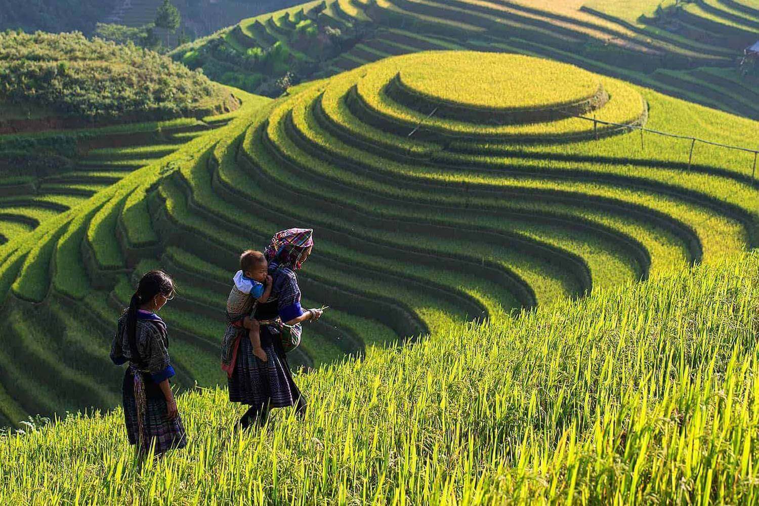 Sapa Vietnam - Indochina Trips & Tour Packages