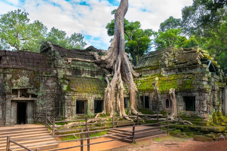 Ta Prohm, Cambodia - Indochina Tours