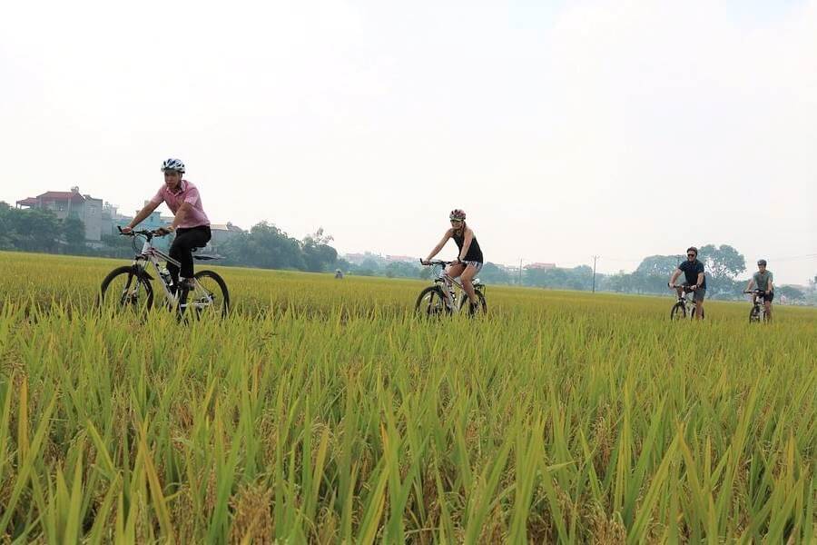 Bike Rental, Vietnam Laos Tours - Indochina Vacations