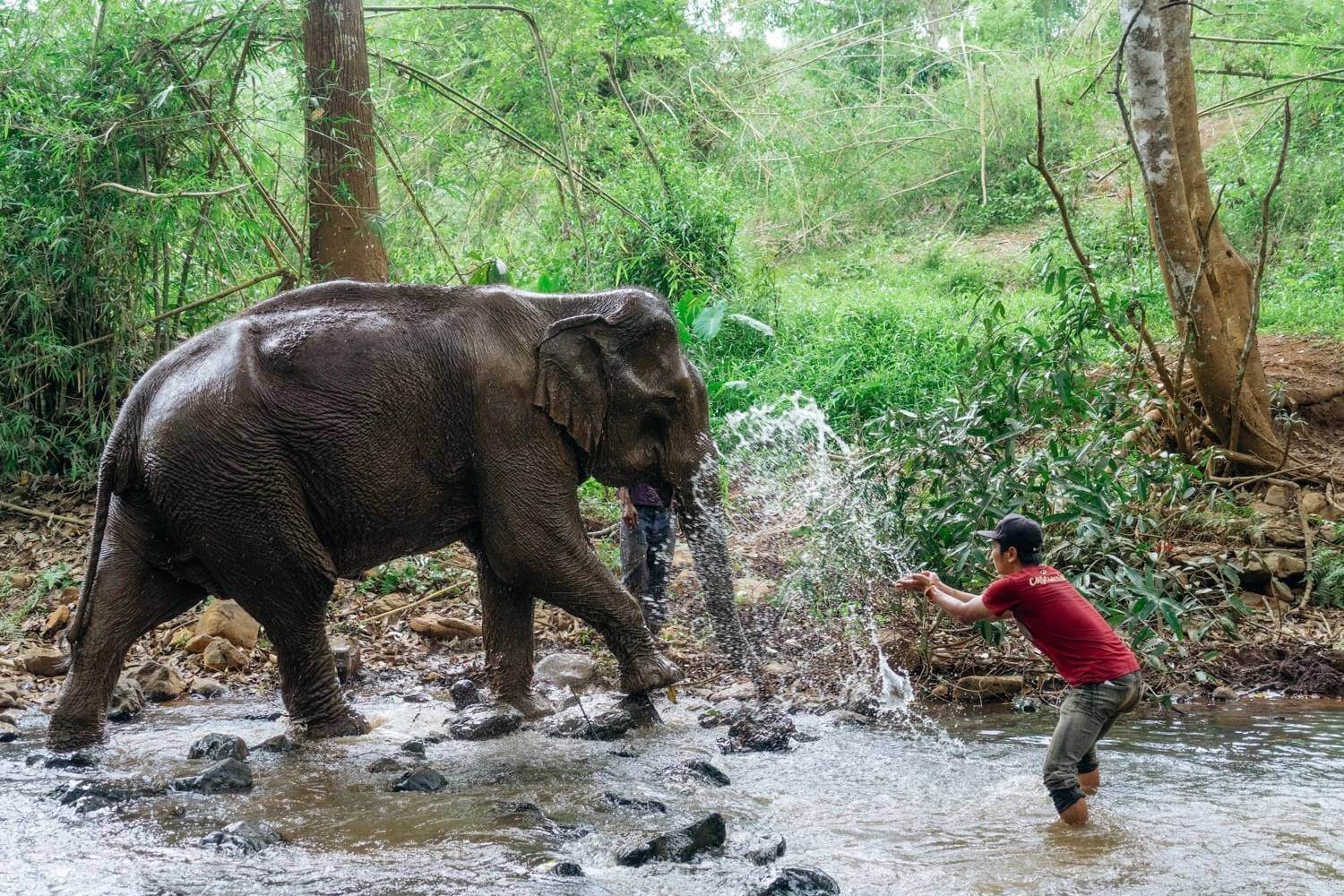 Elephant Sanctuary Vietnam Cambodia Tours Indochina Trips