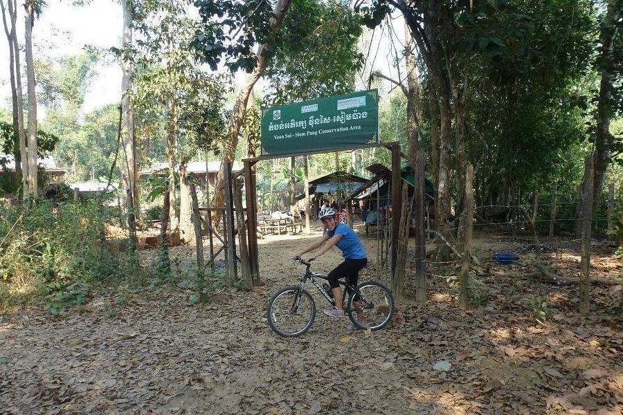 Gibbon Spotting, Cambodia Laos Tours - Indochina Trips
