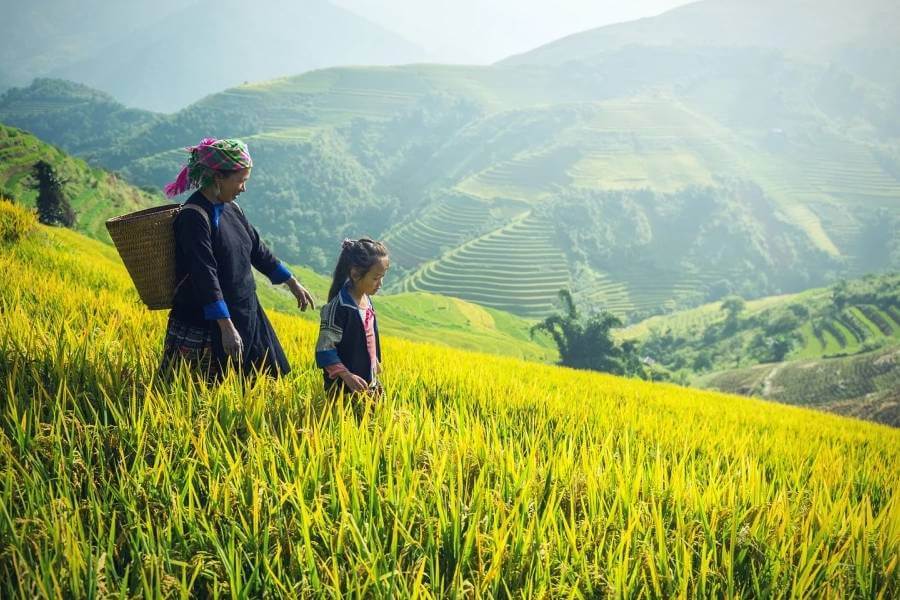 Sapa, Vietnam Laos Tours - Indochina Trips