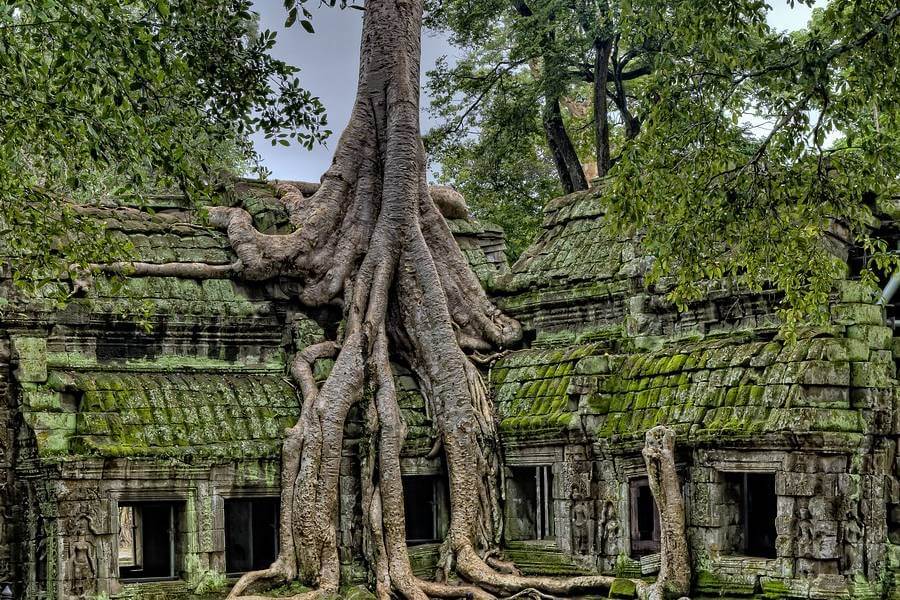 Ta Prohm, Vietnam Cambodia Tours - Indochina Tour Packages