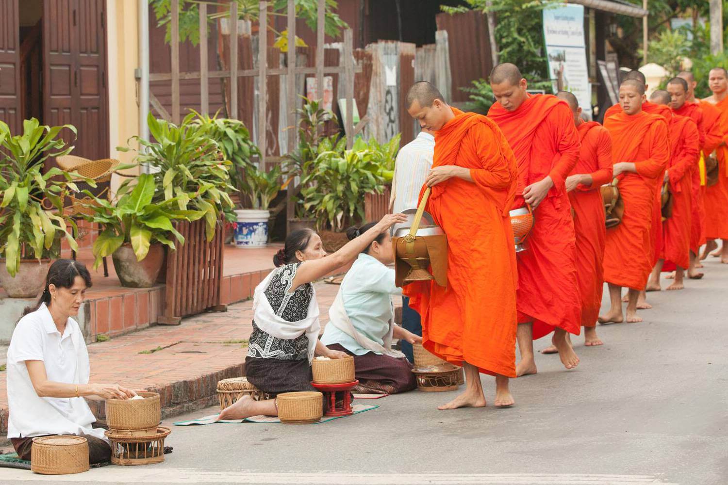 Tak Bat Ceremony, Vietnam Laos Tours - Indochina Trips