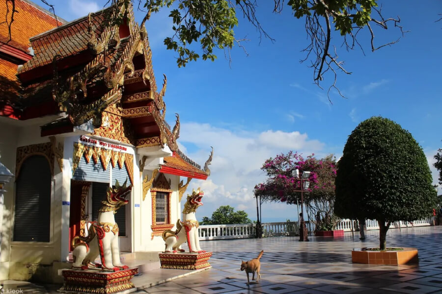 Doi Suthep hill - Multi country asia tours