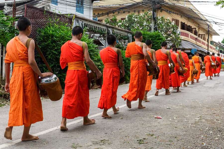 Alms Giving Ceremony in Laos - Indochina tour package