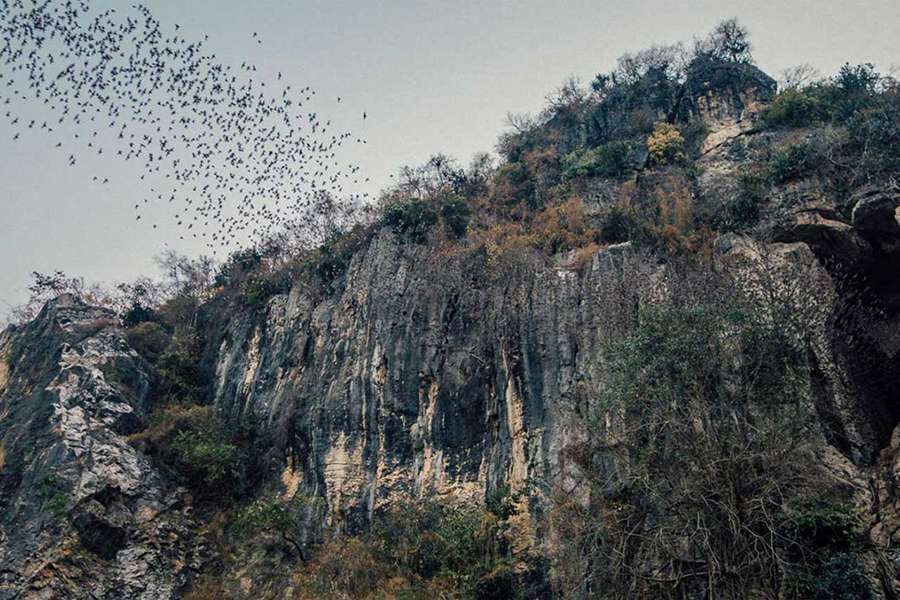 Battambang Bat Caves - Vietnam Cambodia tours
