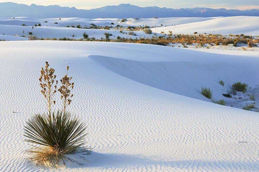 Mui Ne white sand dunes - Indochina tour packages