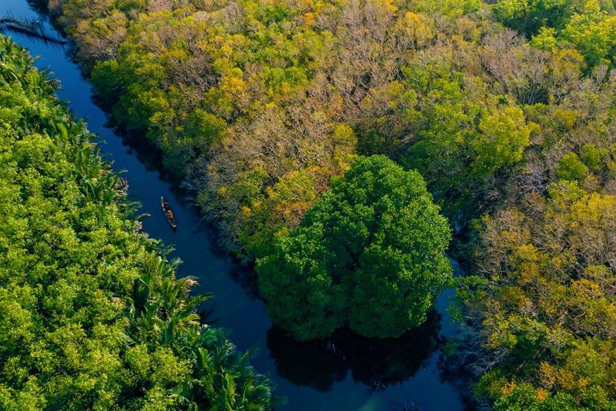 Ru Cham mangroves-Vietnam Laos tours