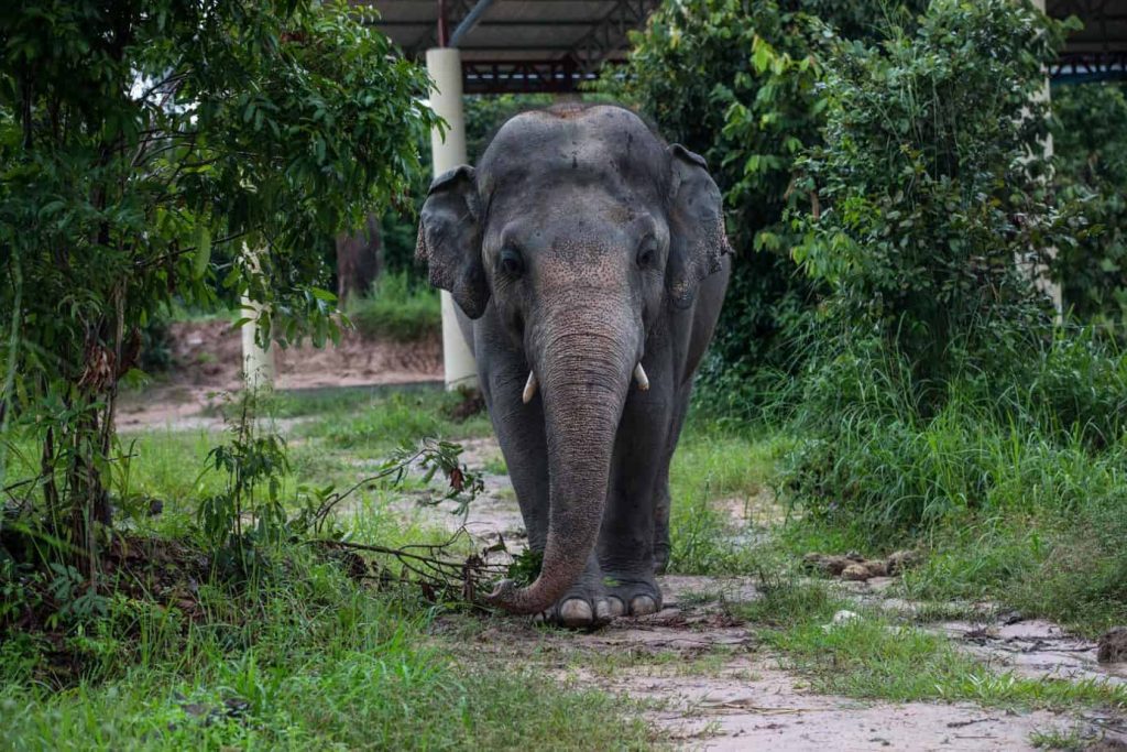 Indochina Tours