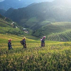 Indochina tours - Journey Through the Heart of Indochina – 23 Days